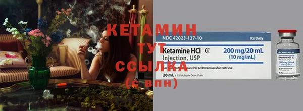 шишки Володарск