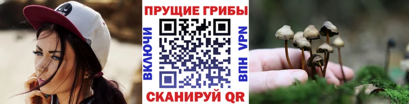 как найти наркотики Лодейное Поле маркетплейс официальный сайт Галлюциногенные грибы прущие грибы